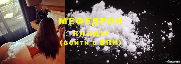 сатива Новозыбков