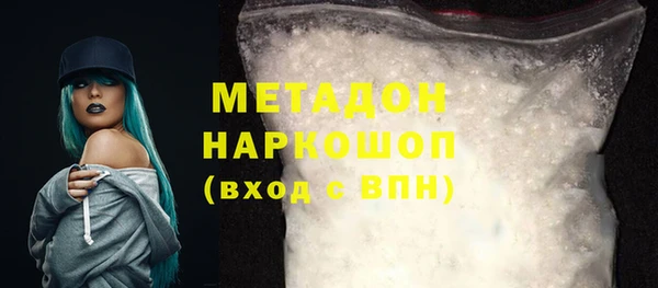 сатива Новозыбков