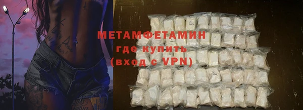 сатива Новозыбков