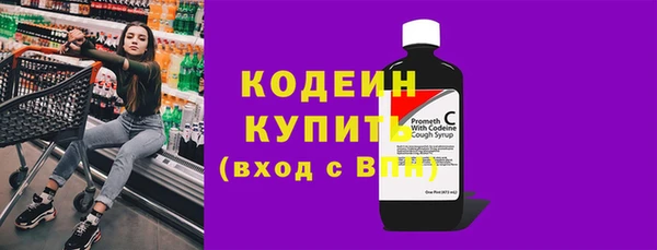 сатива Новозыбков