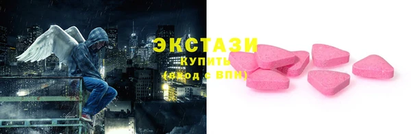 сатива Новозыбков