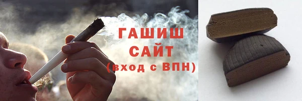 сатива Новозыбков