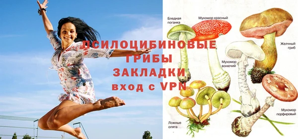 мяу мяу кристалл Нефтекумск