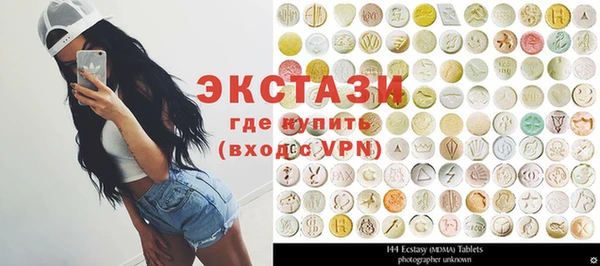 сатива Новозыбков