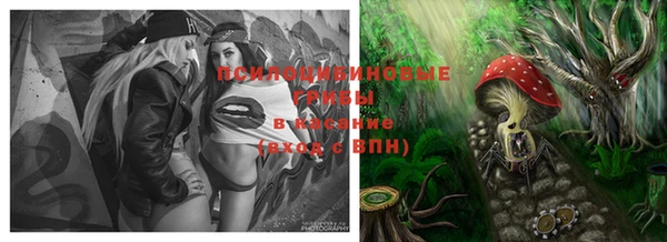 хмурый Новодвинск