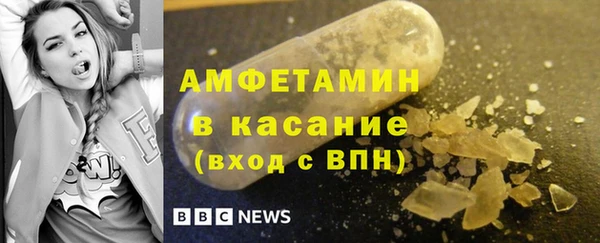 сатива Новозыбков