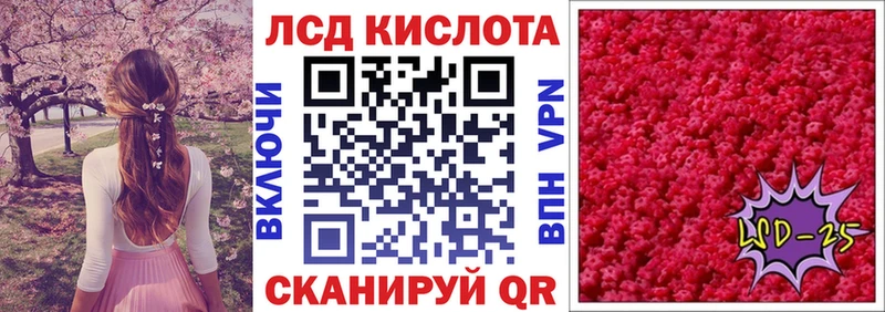 kraken ONION  Новодвинск  Наркотические марки 1500мкг 