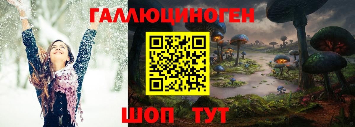 Новодвинск  Галлюциногенные грибы ЛСД  Вход с VPN  Псилоцибиновые грибы прущие грибы 