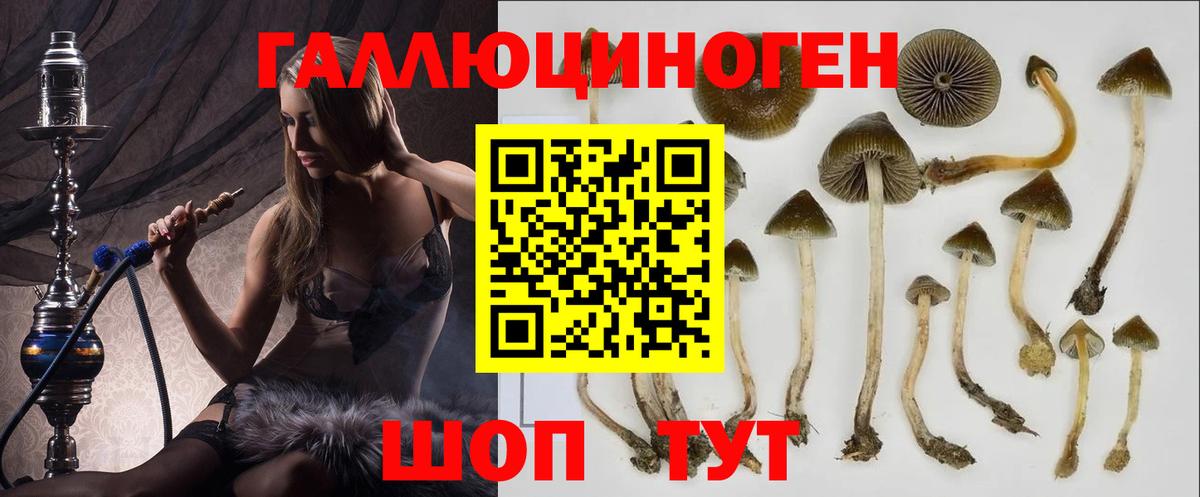 Галлюциногенные грибы Cubensis  цены наркотик  Новодвинск 