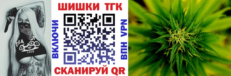 Конопля гибрид  Новодвинск 